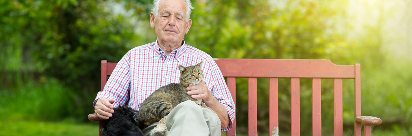 Old-man-with-dog-and-cat-1417x469.jpg